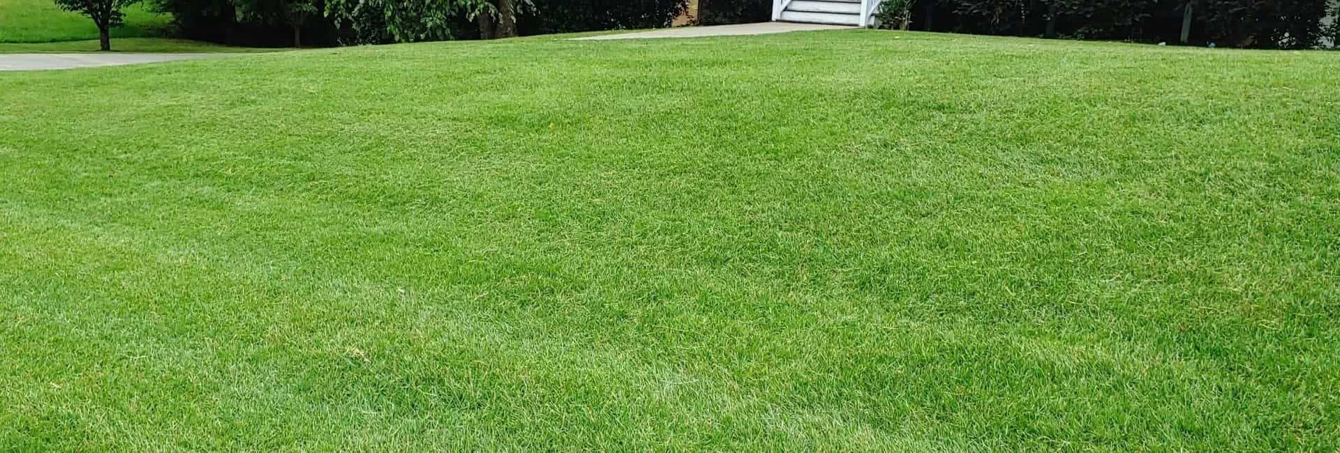 Hometown Lawn and Pest Banner