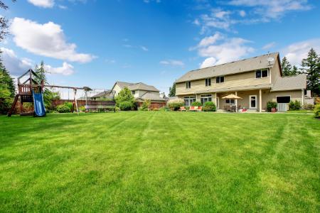 How To Know You Have A Lawn Pest Thumbnail