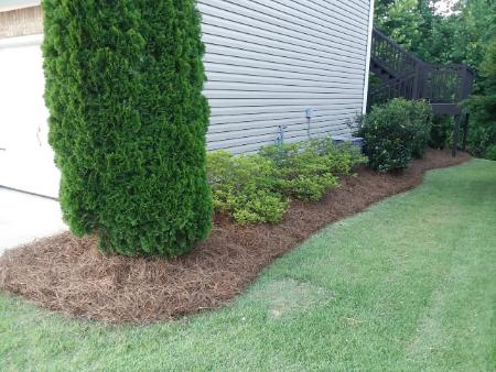 Cartersville, GA