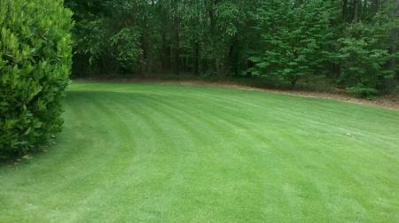 Lawn Fertilization Thumbnail