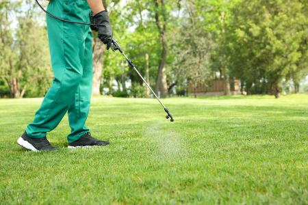 Lawn Insecticide Treatments Thumbnail